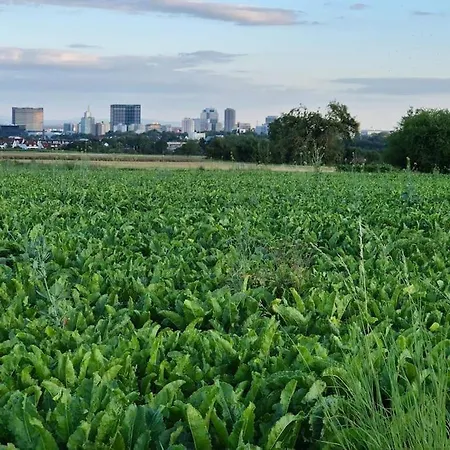 וילה Bungalow, Uneinsehbar, 8 Personen Maximal, 3 Personen Oben, 5 Unten