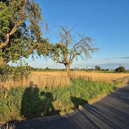 וילה Bungalow, Uneinsehbar, 8 Personen Maximal, 3 Personen Oben, 5 Unten *