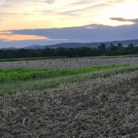 וילה Bungalow, Uneinsehbar, 8 Personen Maximal, 3 Personen Oben, 5 Unten *