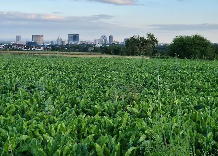 빌라 Bungalow, Uneinsehbar, 8 Personen Maximal, 3 Personen Oben, 5 Unten