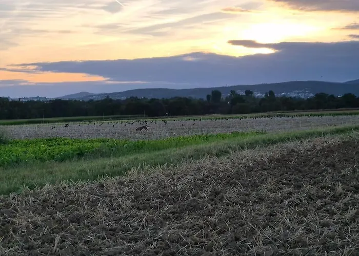 빌라 Bungalow, Uneinsehbar, 8 Personen Maximal, 3 Personen Oben, 5 Unten 에슈본