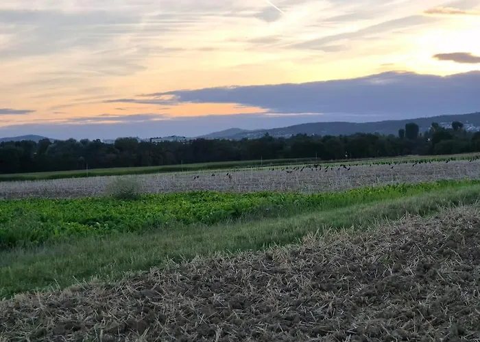 Bungalow, Uneinsehbar, 8 Personen Maximal, 3 Personen Oben, 5 Unten 빌라 *