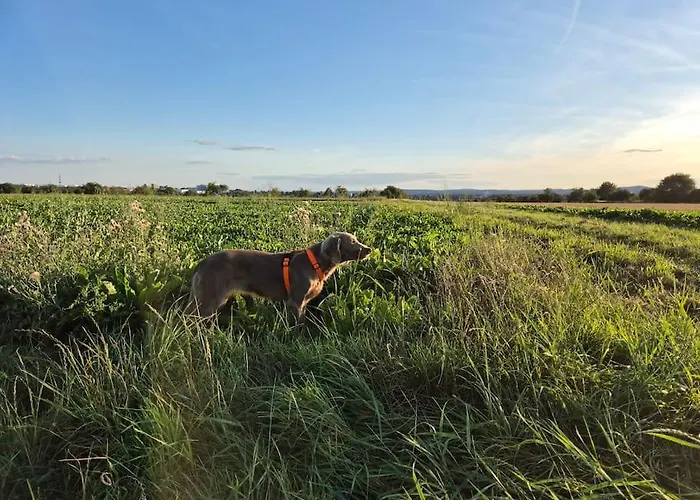 Bungalow, Uneinsehbar, 8 Personen Maximal, 3 Personen Oben, 5 Unten 빌라