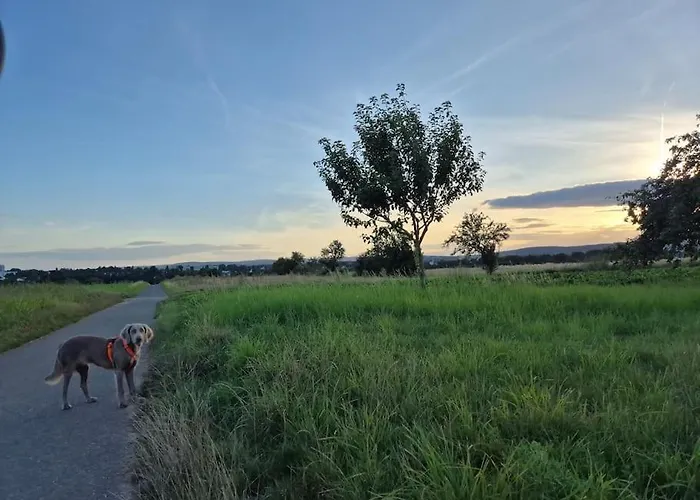빌라 Bungalow, Uneinsehbar, 8 Personen Maximal, 3 Personen Oben, 5 Unten