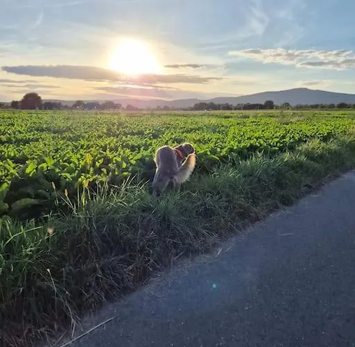 Bungalow, Uneinsehbar, 8 Personen Maximal, 3 Personen Oben, 5 Unten 빌라 *