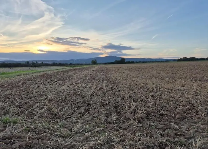 Bungalow, Uneinsehbar, 8 Personen Maximal, 3 Personen Oben, 5 Unten *