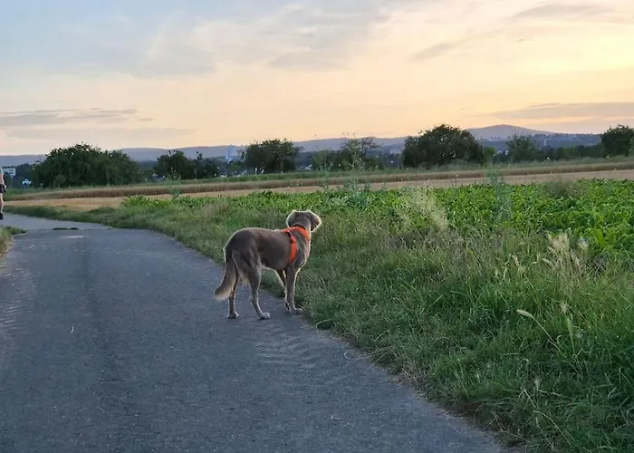 Bungalow, Uneinsehbar, 8 Personen Maximal, 3 Personen Oben, 5 Unten * 에슈본
