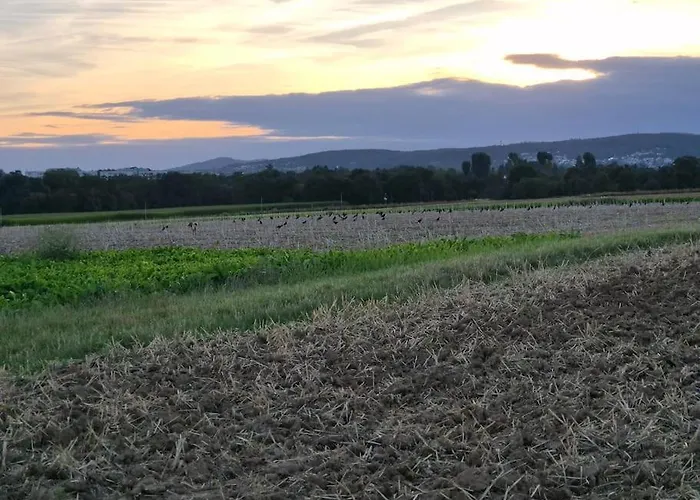 빌라 Bungalow, Uneinsehbar, 8 Personen Maximal, 3 Personen Oben, 5 Unten *